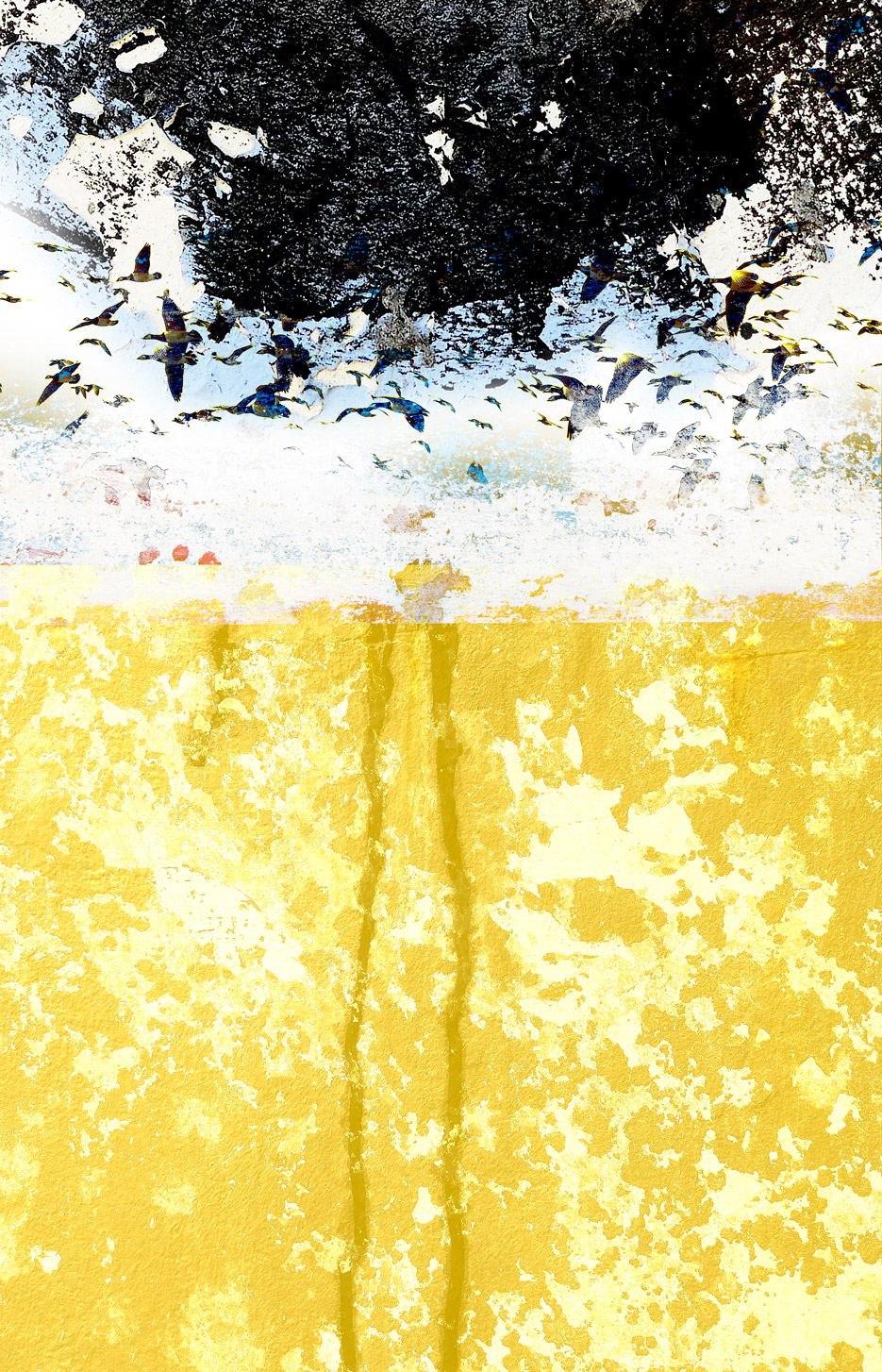 Blues#1_A2_36x56_Ram 50x70
