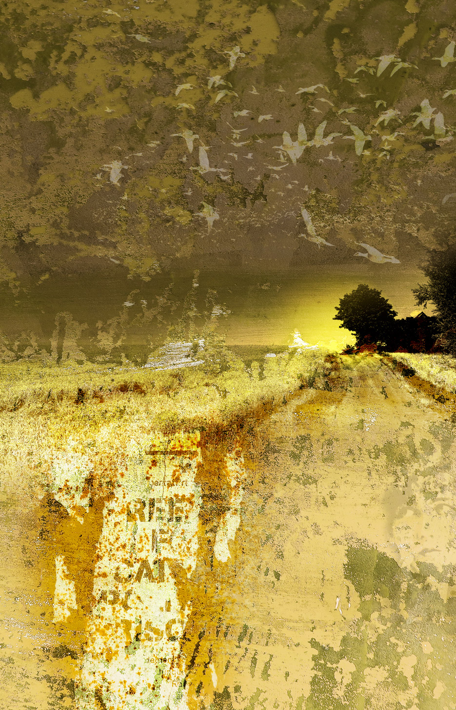 Blues#5_A2_36x56_Ram 50x70
