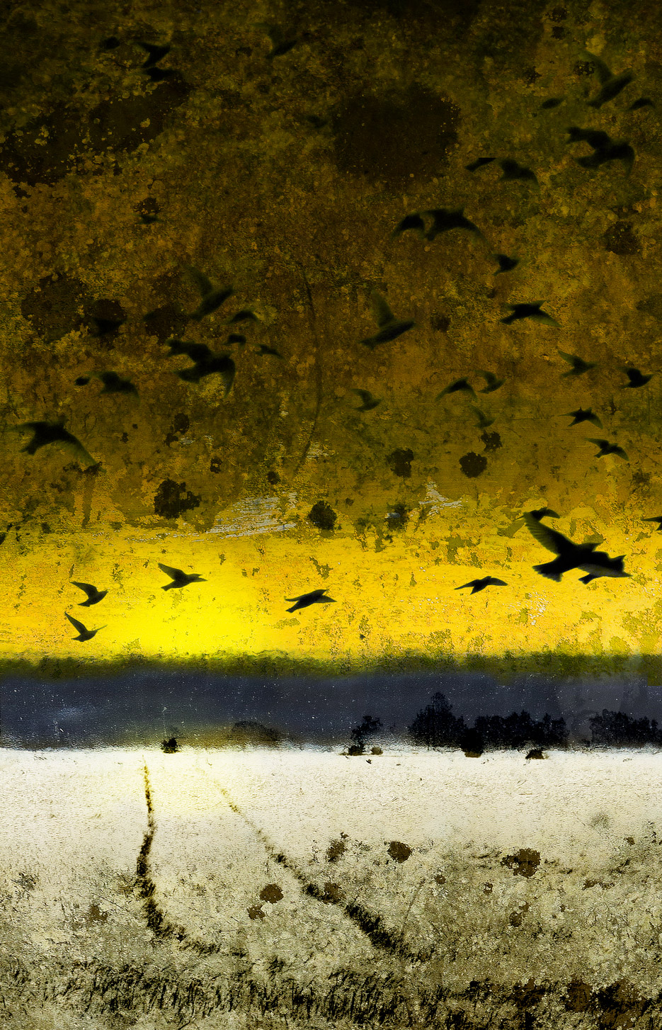Blues#6_A2_36x56_Ram 50x70