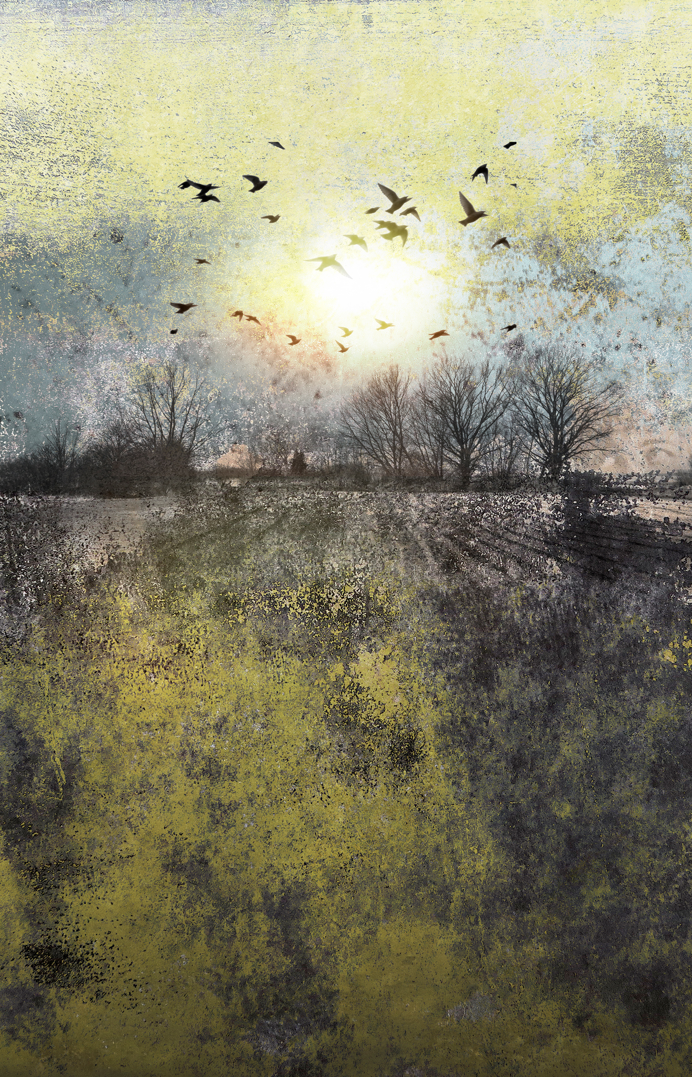 Escape#13_A2_36x56_Ram 50x70
